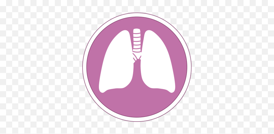 D6 Transport Of Respiratory Gases Bioninja Png Icon