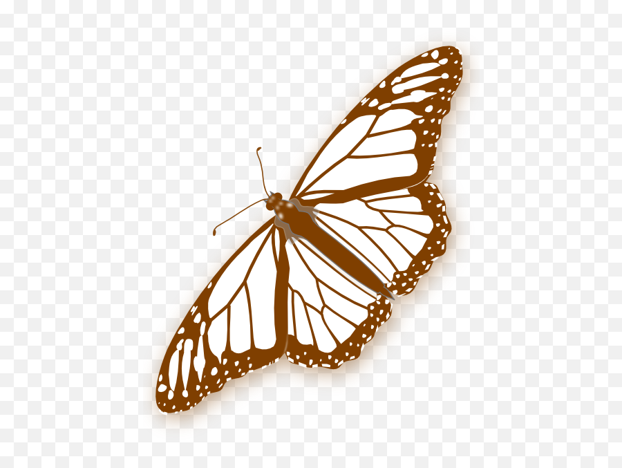 Brown Butterfly Clipart Png - Black And White Butterfly Png,Monarch Butterfly Png