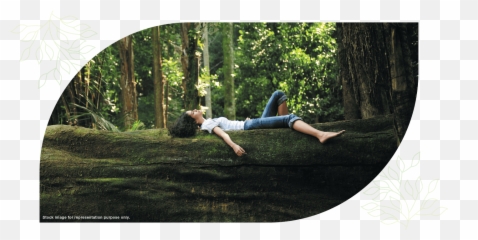 Index Of Backofficedatacontentprojects - Godrej Forest Grove Pune png