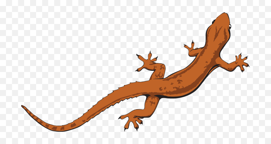 Download Lizard Png File - Free Transparent Png Images Transparent Background Lizard Clipart,Claw Mark Png
