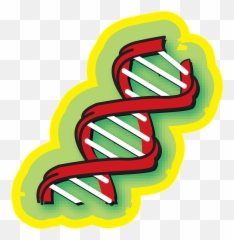 Chromosome Medical Science - Genetics Clipart png