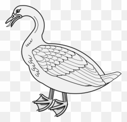 Goose - Traceable Heraldic Art Duck Png,Goose Png