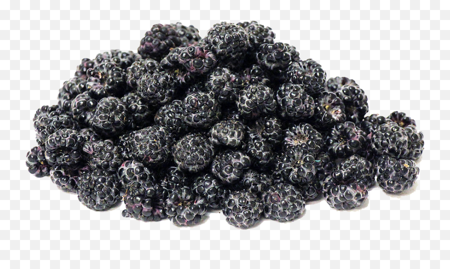 Black Raspberries Png Transparent Image - Berry,Raspberries Png