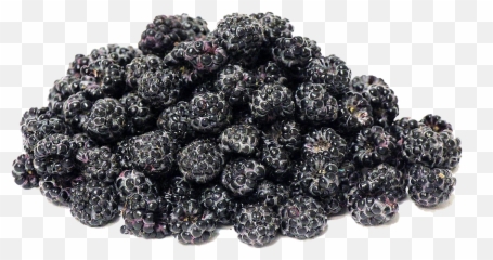 Black Raspberries Png Transparent Image - Berry,Raspberries Png