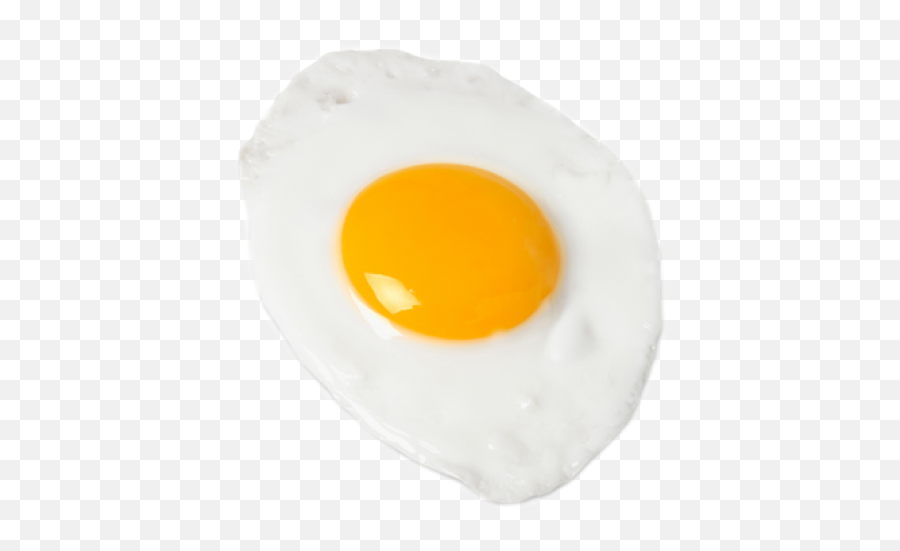 Fried egg PNG transparent image download, size: 500x443px