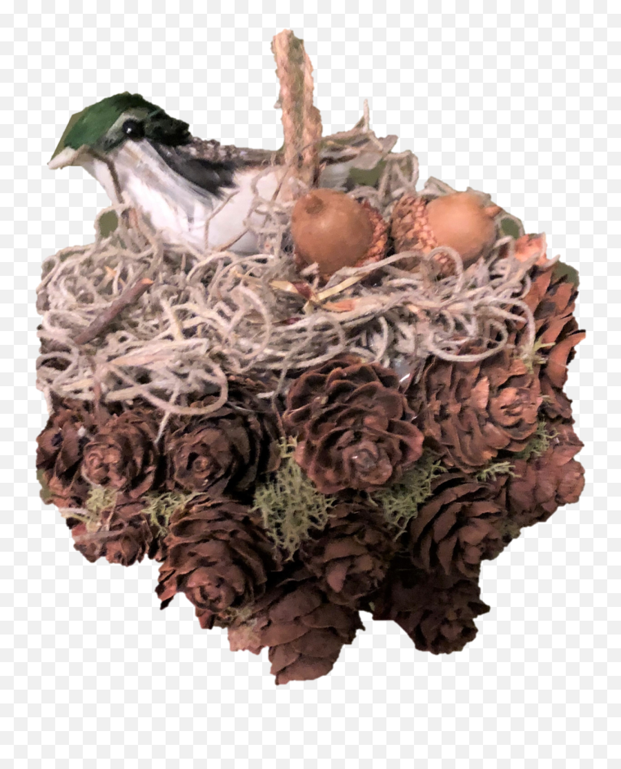 Handmade Pine Cone Kissing Ball With Birdu0027s Nest - 5 Inches Duck Png,Bird Nest Png