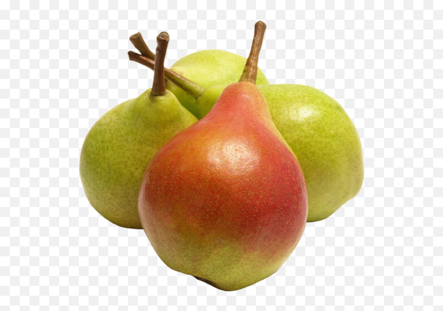 Poires Png Fruits - Pears Png Früchte Birnen Png,Pears Png