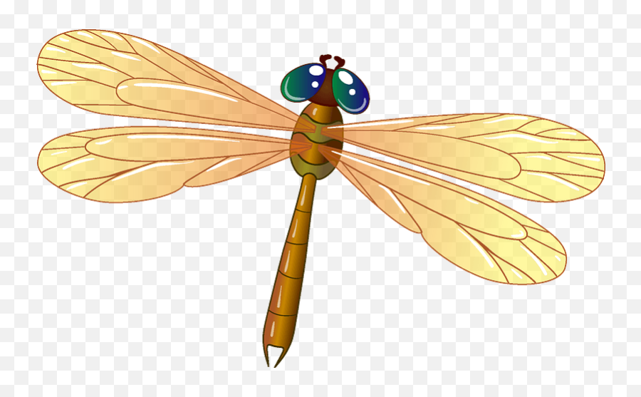 Dragonfly Clipart - Clipart Images Of Dragonfly Png,Dragon Fly Png