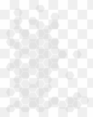 About Us - Circle png