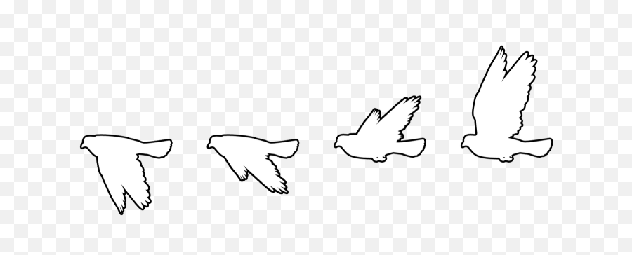 Vector Sketching Bird - Flying Bird Silhouette White Png,Birds Flying Png