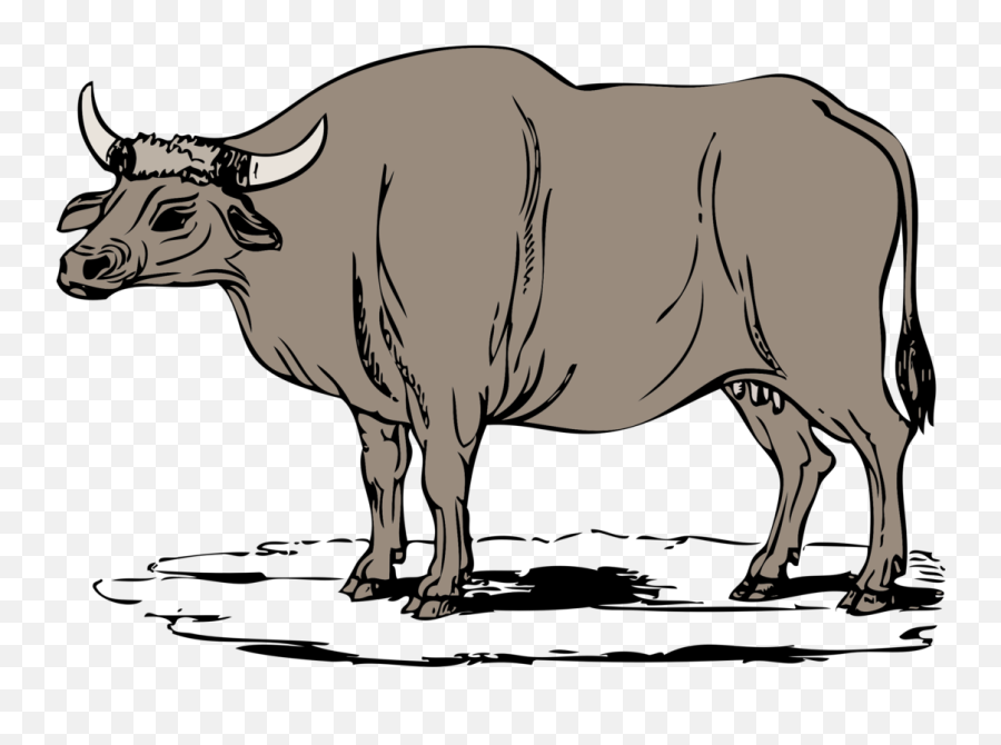 Livestockmonochrome Photographybull Png Clipart - Royalty Carabao Clipart,Bull Png