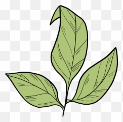 Rose Leaves Clipart Free Download Transparent Png Creazilla - Leaves Clipart