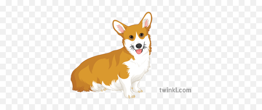 Corgi General Animals Dog Royal Queen Pets Secondary - Pembroke Welsh Corgi Png,Corgi Png