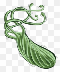 Bacteria Bacterium Heliobacter - Helicobacter Png
