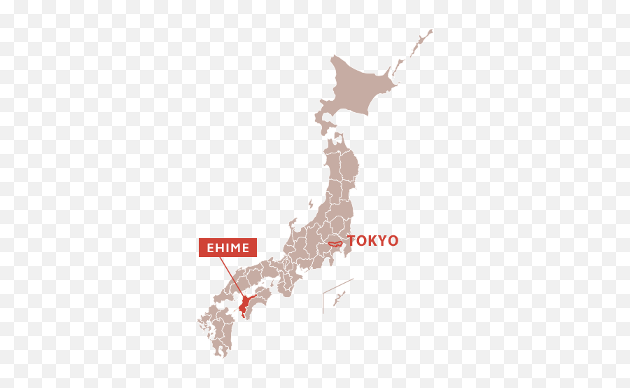 Ehime - Tradition In Daily Life Chugokushikokutokyo Japan Japan Map Icon Png,Tokyo Png