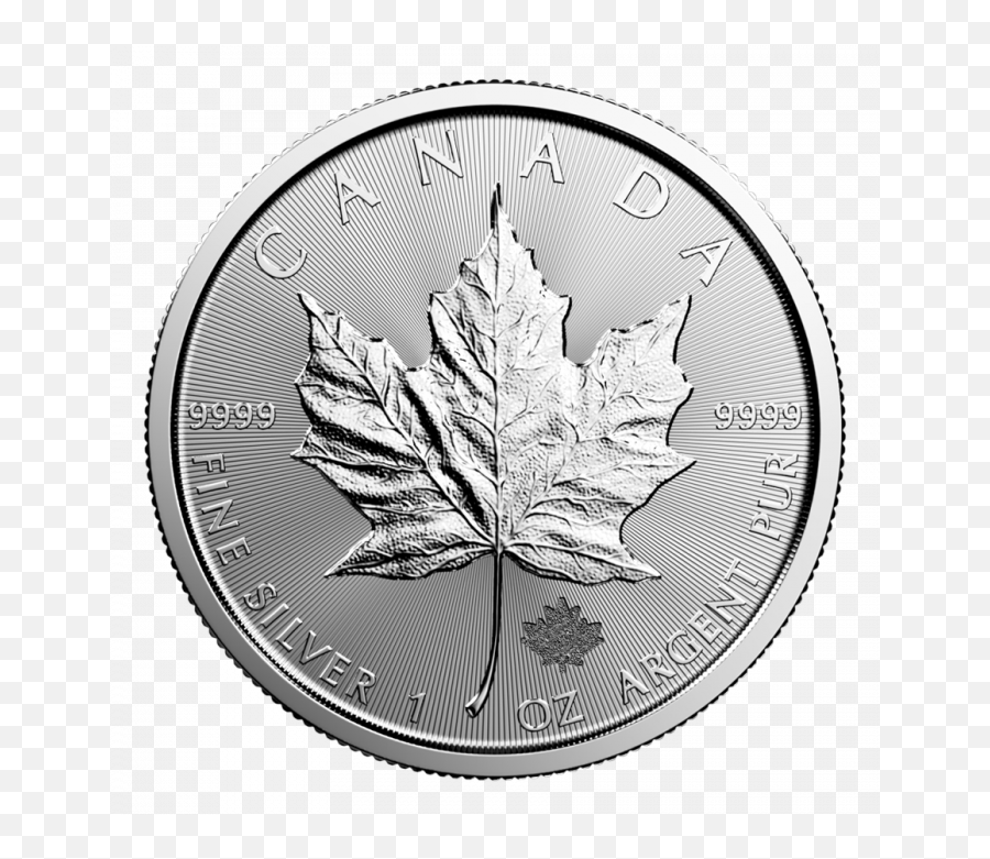 Royal Canadian Mint - Canadian Silver Maple Leaf 1 Oz Coin Walmartcom 2019 Silver Maple Leaf Png,Canadian Leaf Png