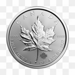 Royal Canadian Mint - Silver Maple Leaf 1 oz Coin Walmartcom 2019 png