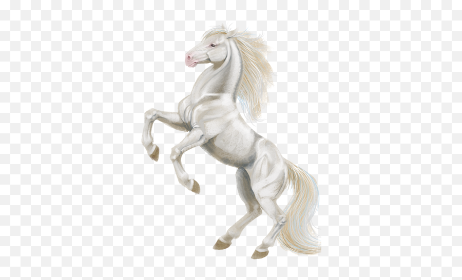 V - Stallion Png,White Horse Png