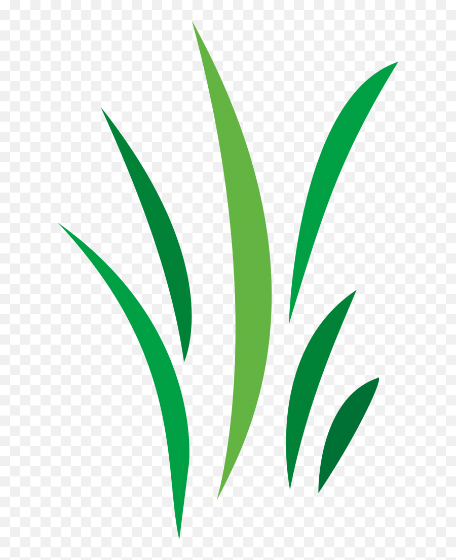 Free Cool Vector Designs Png - Blade Of Grass Illustration Blade Of Grass Logo,Grasses Png