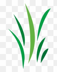 Free Cool Vector Designs Png - Blade Of Grass Illustration Logo
