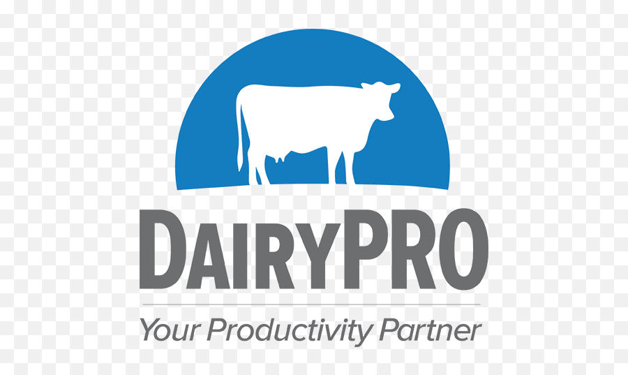 Home Dairypro - Dairy Cow Png,Cow Logo