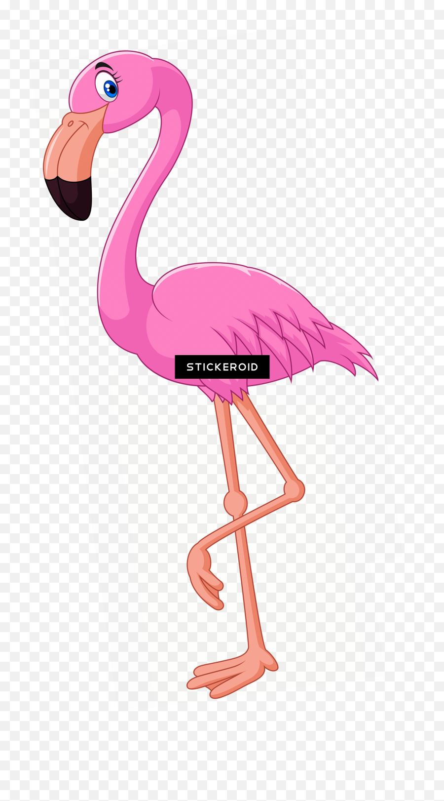 Download Flamingo Animals - Cartoon Flamingo Png,Flamingo Transparent Background