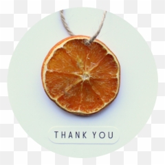 Dried Orange Slice Card Shelley Makes - Clementine Png,Orange Slice Png