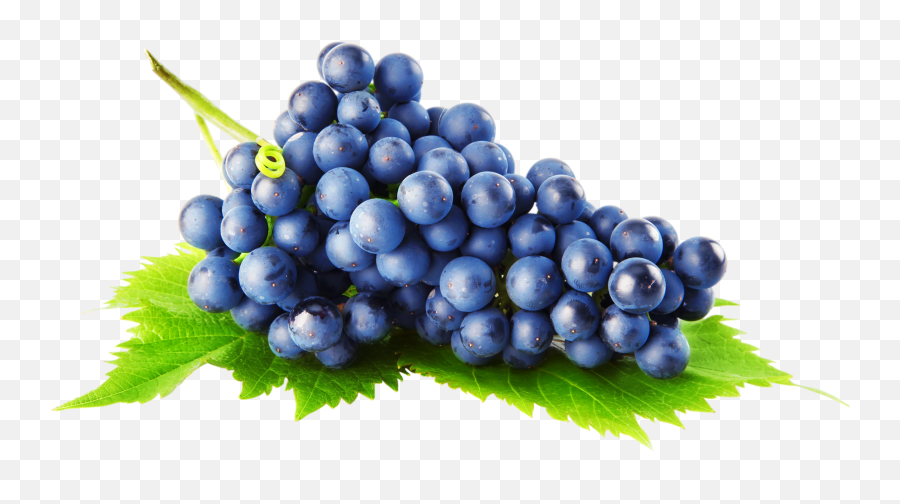 Download Free Png Grapes - Transparent Background Grape Png,Grapes Png