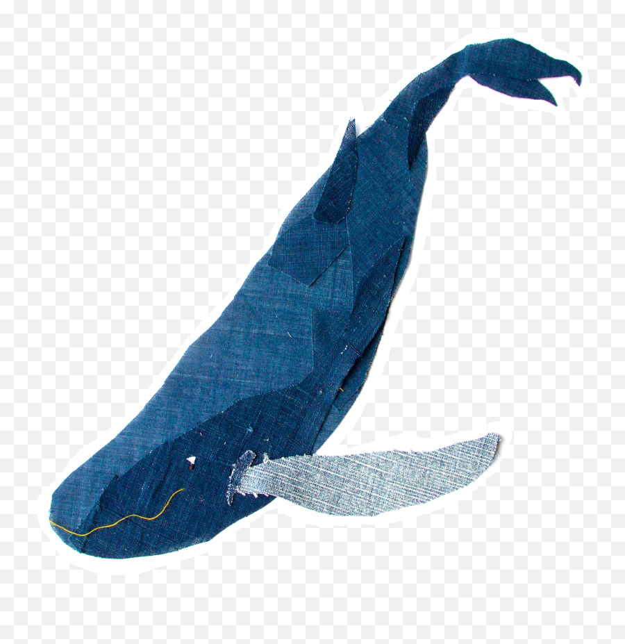 Download Humpback Whale Png Image With - Humpback Whale,Humpback Whale Png