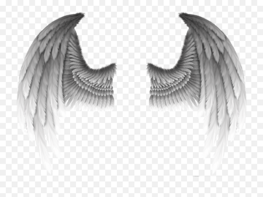 Fallen Angel Devil Wing Demon - Realistic Gold Angel Wings Png,Demon Wings Png