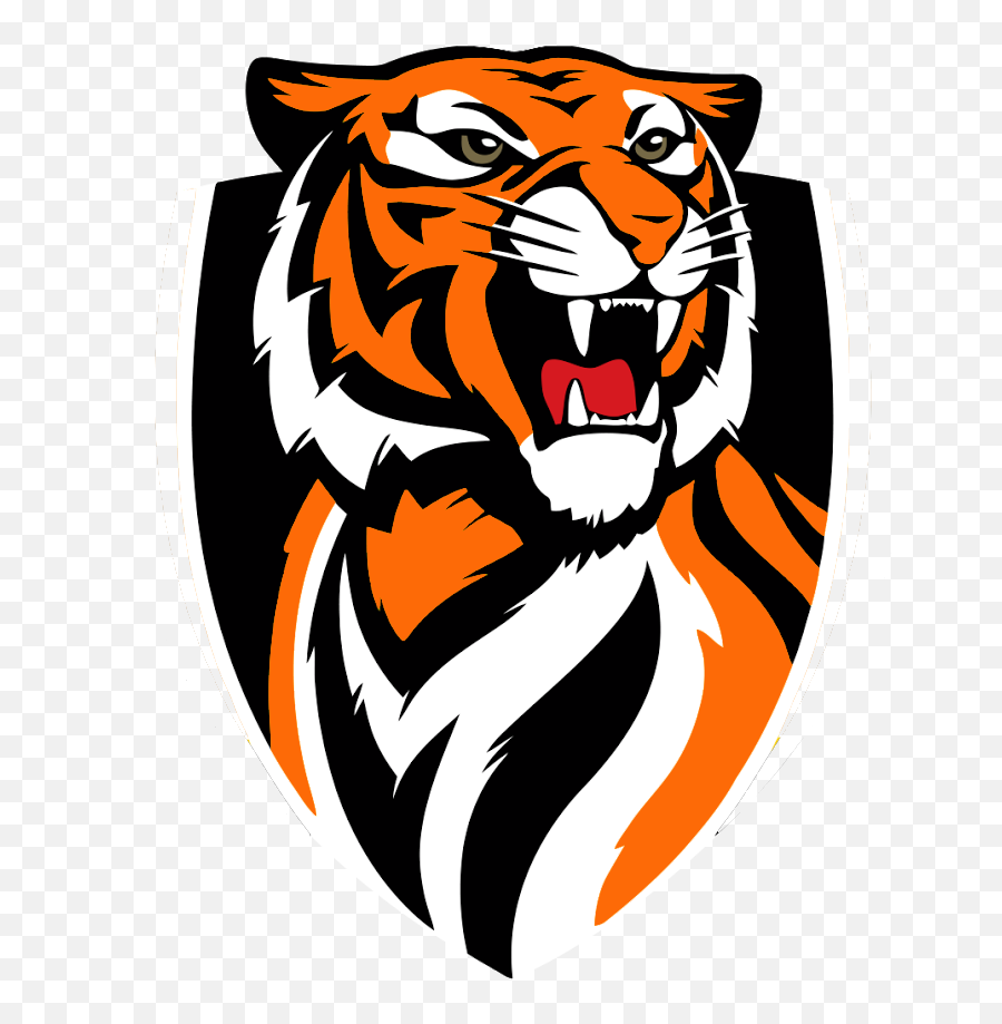 Tiger Coming Out Of Basketball Clipart - Richmond Football Club Png,Tigers Png