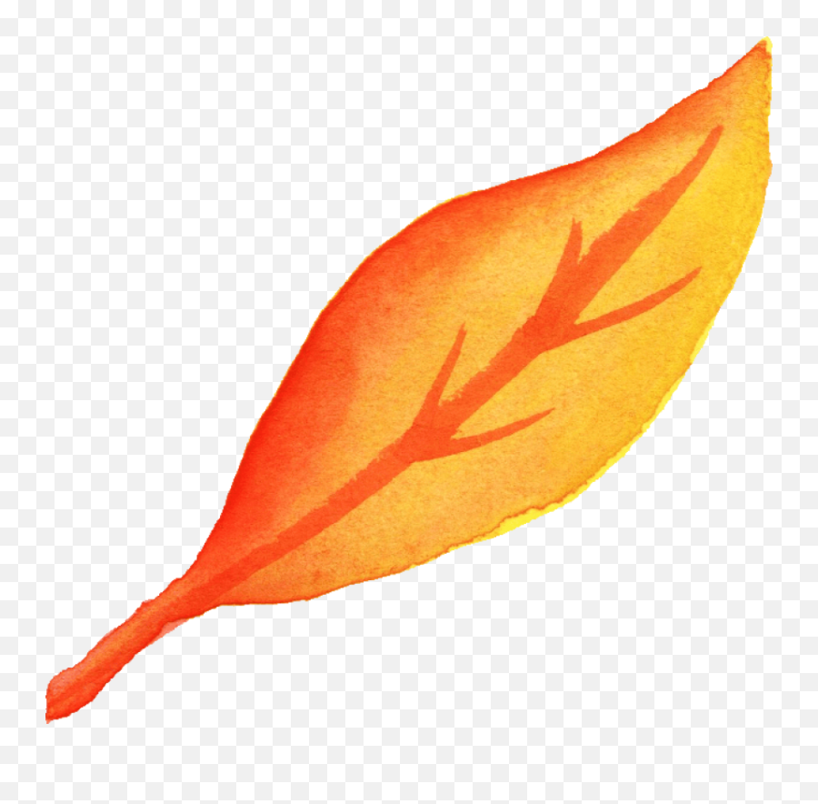 6 Watercolor Yellow Leaf Png Transparent Onlygfxcom - Fall Watercolor Leaf Png,Autumn Leaves Png