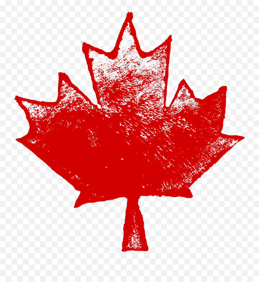 6 Grunge Maple Leaf Transparent - Flag Png,Maple Tree Png