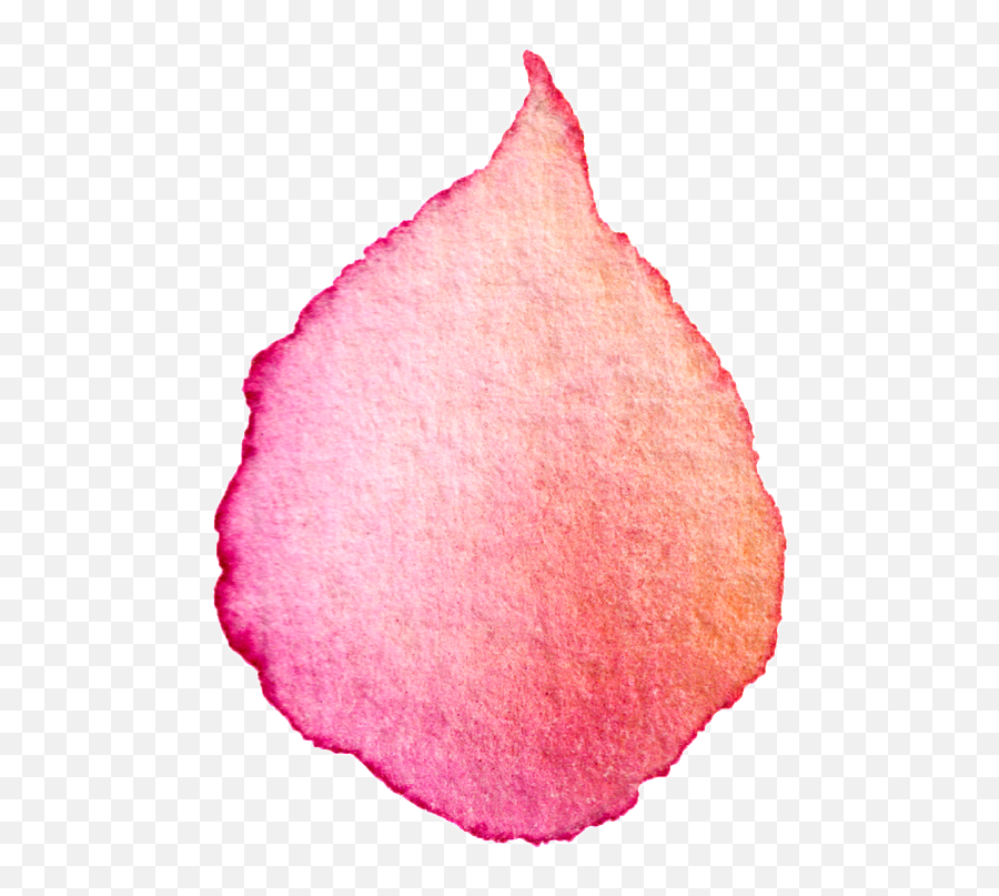 Delicate Flower Petals Transparent - Single Blossom Petal Png,Flower Petals Png