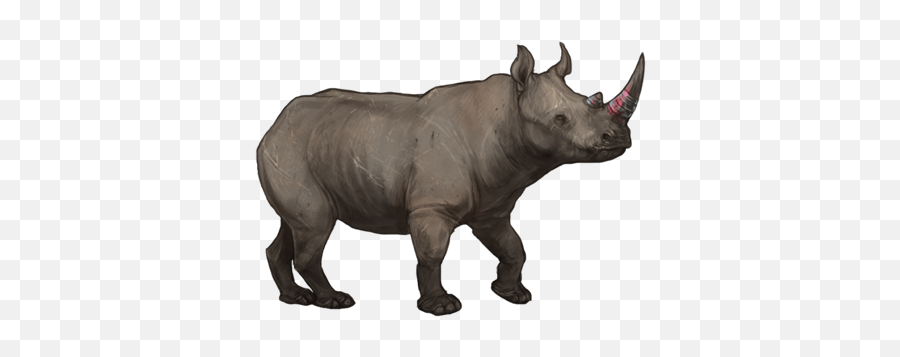 March Event Anti - Poaching Lioden Wiki Rhino Lioden Png,Rhino Transparent Background