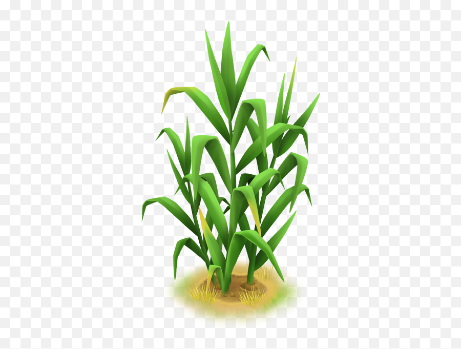 Download Tall Grass - Grass Png,Tall Grass Png