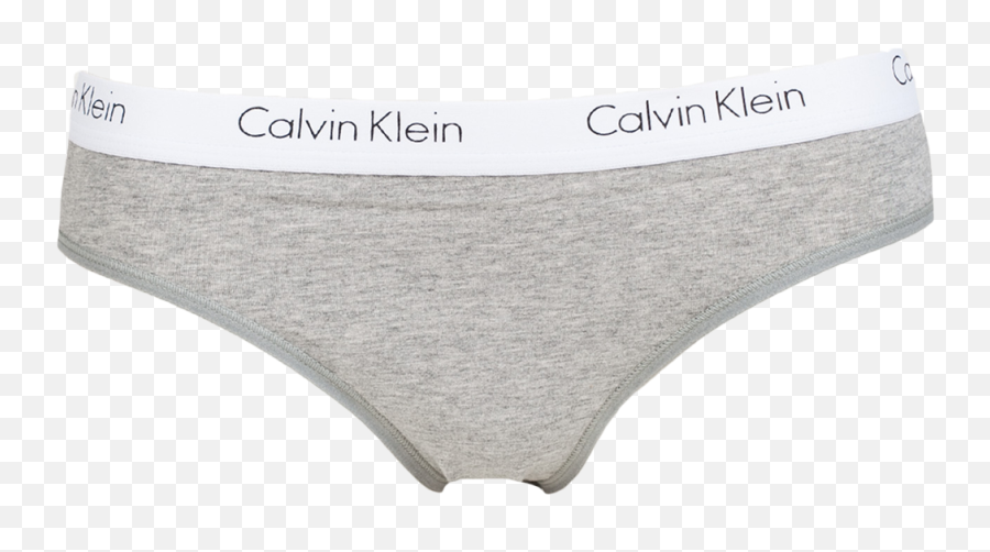 Grey 1 Underwear 000qf1369e Calvin Klein Womens Lingerie - Briefs Png,Panties Png