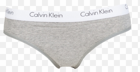 Grey 1 Underwear 000qf1369e Calvin Klein Womens Lingerie - Briefs Png,Panties Png
