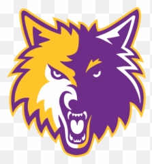 Minnesota Timberwolves Logo - png