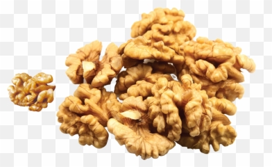 Nuts Clipart Oil Seed Transparent Free For - Akhrot Giri Chili Png,Walnut Png