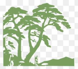 Rainforest Clipart Png - Clipart Transparent Rainforest Tree,Rainforest Png