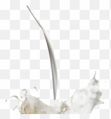 Milk Splash Png Hd Image All - Drop Png