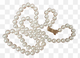 Pearls Transparent Picture - Clear Background Necklace Png
