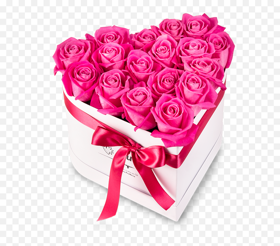 White Box Freshly Cut Pink Roses - Ruzove Ruze Png,White Heart Transparent