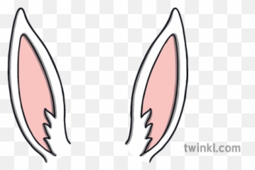 Bunny Rabbit Ears Animals Nature Body Parts Ks1 Illustration - png