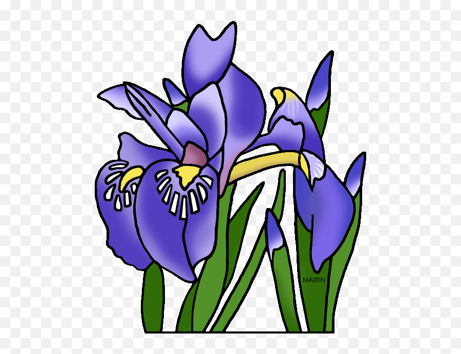 Michigan State Wild Flower Dwarf Lake - Tennessee State Flower Clipart Png,Iris Flower Png