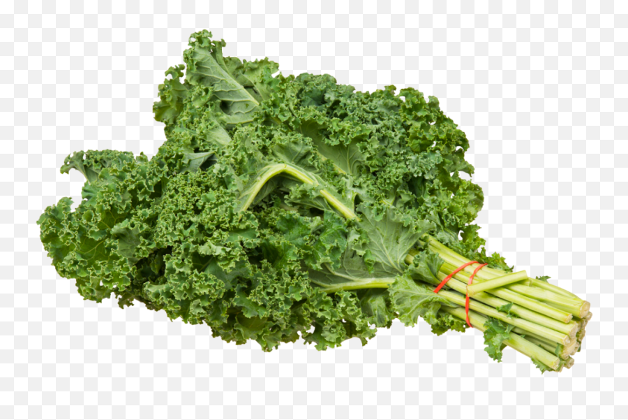 Download Kale Png Transparent Image 304 - Free Transparent Png Kale,Vegetables Transparent Background
