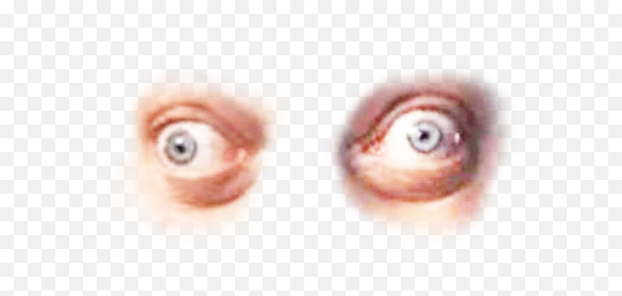 Steve Buscemi Eyes - Green Eye Png,Steve Buscemi Png