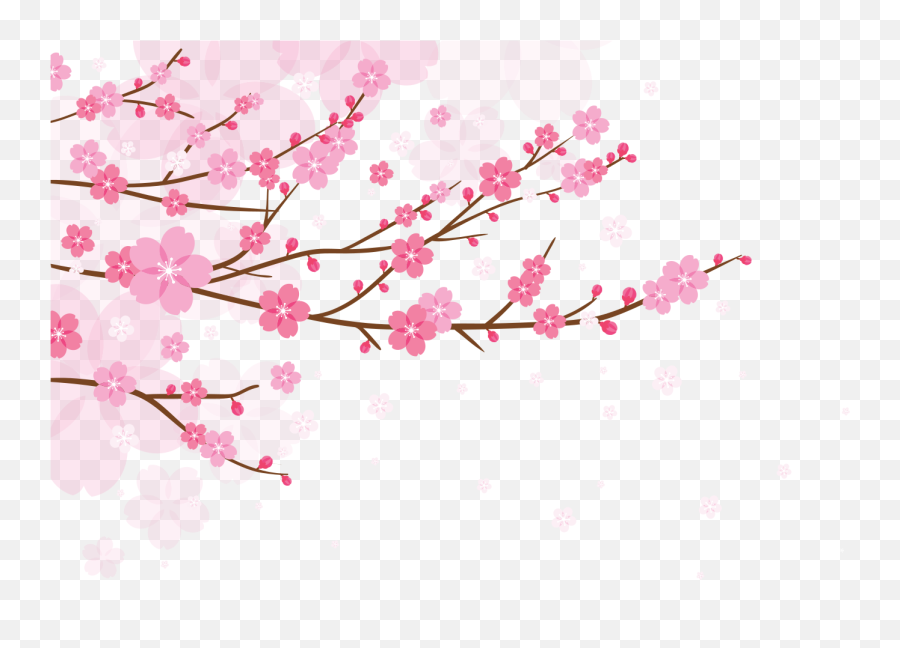 Washington Dc Cherry Blossom Festival Tour - Sunshine Tours Plum Blossom Tree Background Png,Cherry Blossoms Transparent
