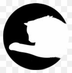 Simple Cat Toy Laser - Felinae png